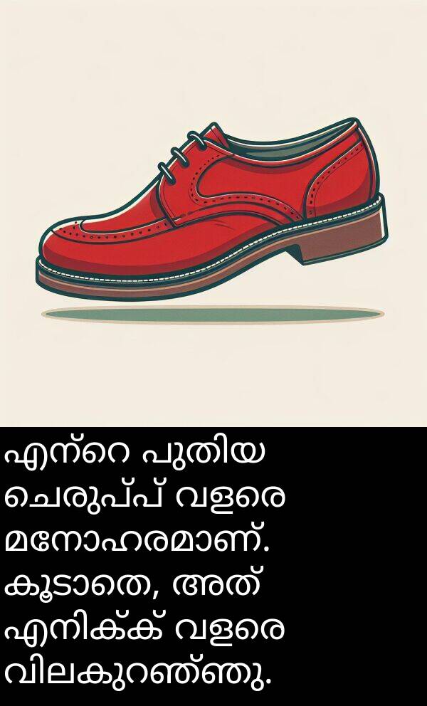 ചെരുപ്പ്: എന്റെ പുതിയ ചെരുപ്പ് വളരെ മനോഹരമാണ്. കൂടാതെ, അത് എനിക്ക് വളരെ വിലകുറഞ്ഞു.