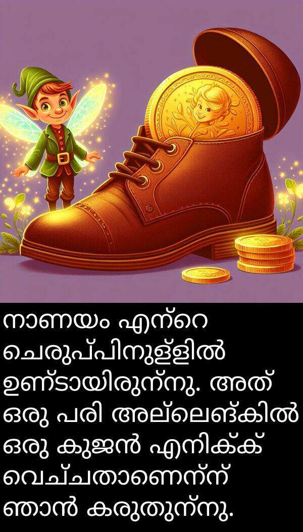 കരുതുന്നു: നാണയം എന്റെ ചെരുപ്പിനുള്ളിൽ ഉണ്ടായിരുന്നു. അത് ഒരു പരി അല്ലെങ്കിൽ ഒരു കുജൻ എനിക്ക് വെച്ചതാണെന്ന് ഞാൻ കരുതുന്നു.