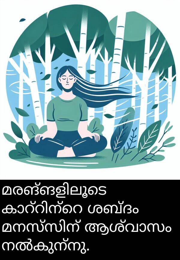 ശബ്ദം: മരങ്ങളിലൂടെ കാറ്റിന്റെ ശബ്ദം മനസ്സിന് ആശ്വാസം നൽകുന്നു.