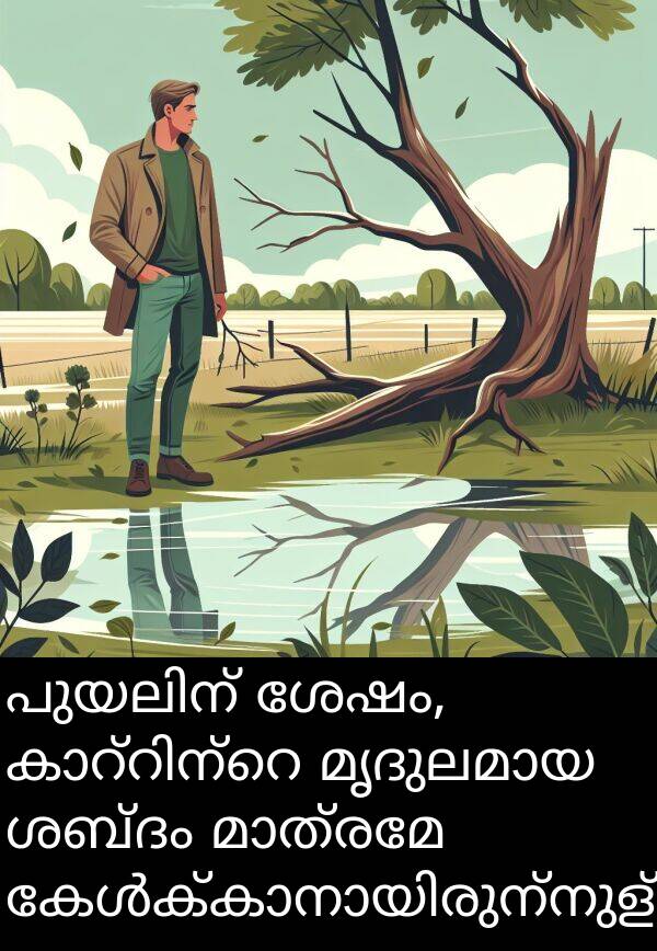 ശബ്ദം: പുയലിന് ശേഷം, കാറ്റിന്റെ മൃദുലമായ ശബ്ദം മാത്രമേ കേൾക്കാനായിരുന്നുള്ളൂ.