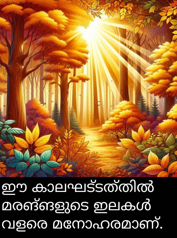 മരങ്ങളുടെ: ഈ കാലഘട്ടത്തിൽ മരങ്ങളുടെ ഇലകൾ വളരെ മനോഹരമാണ്.