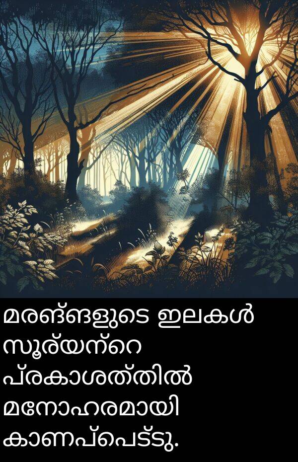 മരങ്ങളുടെ: മരങ്ങളുടെ ഇലകൾ സൂര്യന്റെ പ്രകാശത്തിൽ മനോഹരമായി കാണപ്പെട്ടു.