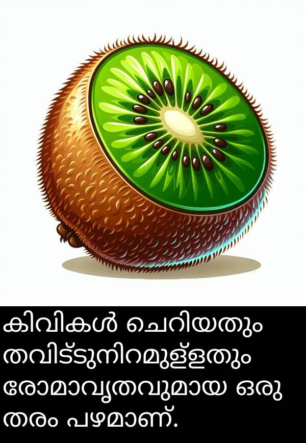 തരം: കിവികൾ ചെറിയതും തവിട്ടുനിറമുള്ളതും രോമാവൃതവുമായ ഒരു തരം പഴമാണ്.