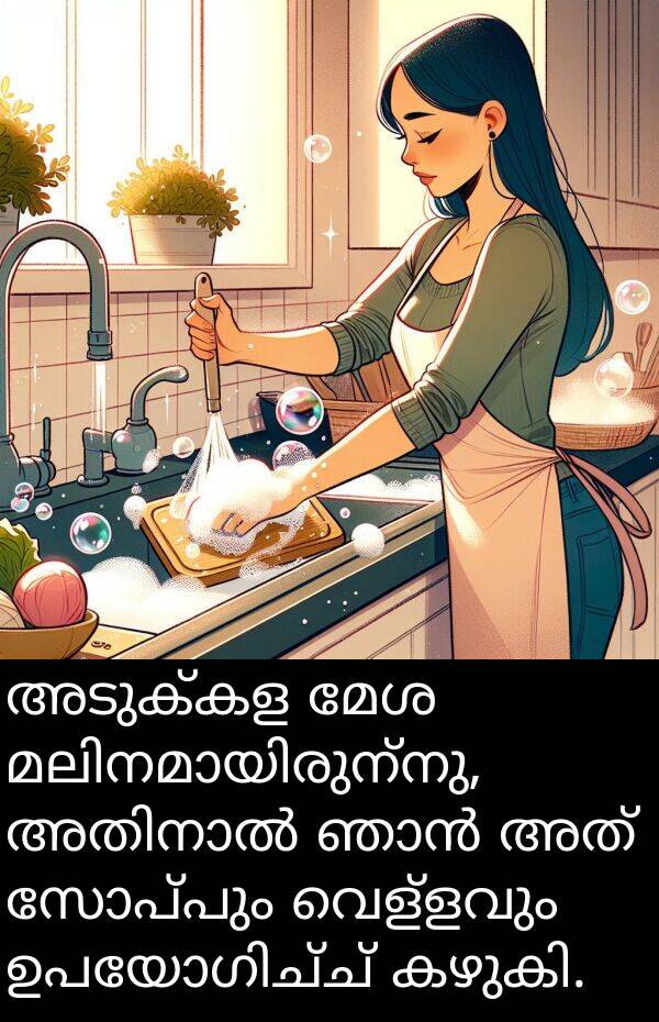 വെള്ളവും: അടുക്കള മേശ മലിനമായിരുന്നു, അതിനാൽ ഞാൻ അത് സോപ്പും വെള്ളവും ഉപയോഗിച്ച് കഴുകി.
