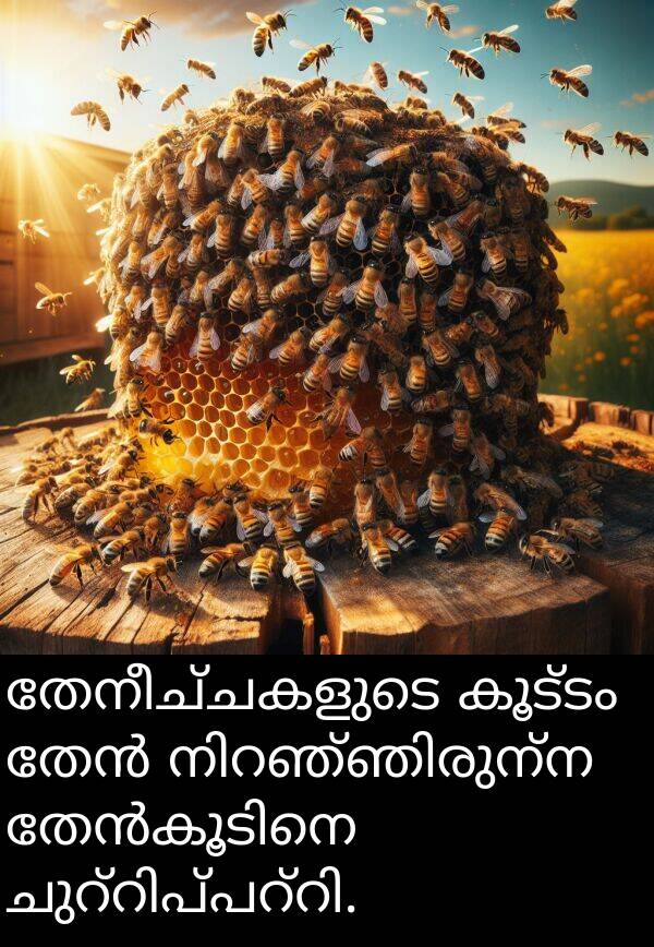 തേനീച്ചകളുടെ: തേനീച്ചകളുടെ കൂട്ടം തേൻ നിറഞ്ഞിരുന്ന തേൻകൂടിനെ ചുറ്റിപ്പറ്റി.