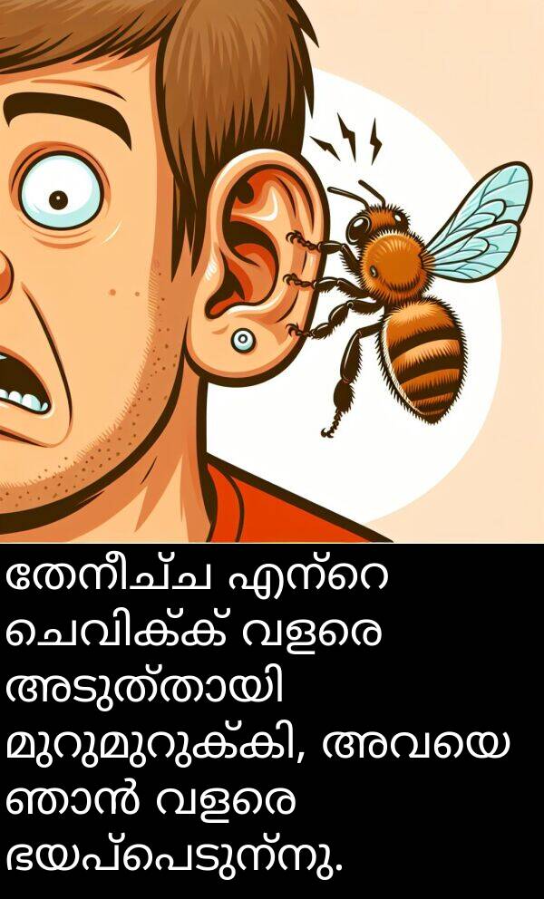 തേനീച്ച: തേനീച്ച എന്റെ ചെവിക്ക് വളരെ അടുത്തായി മുറുമുറുക്കി, അവയെ ഞാൻ വളരെ ഭയപ്പെടുന്നു.