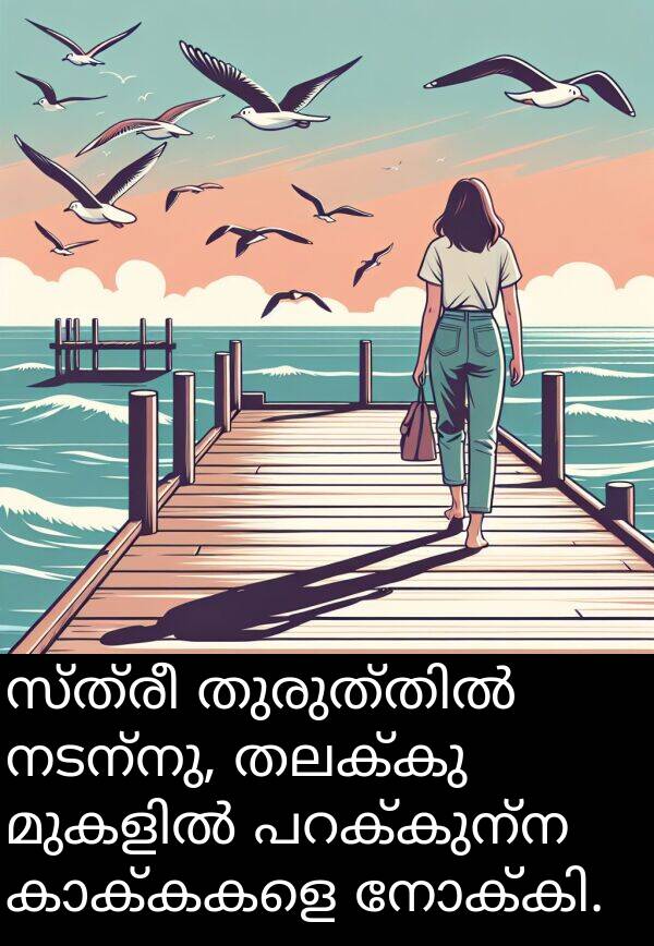 നടന്നു: സ്ത്രീ തുരുത്തിൽ നടന്നു, തലക്കു മുകളിൽ പറക്കുന്ന കാക്കകളെ നോക്കി.