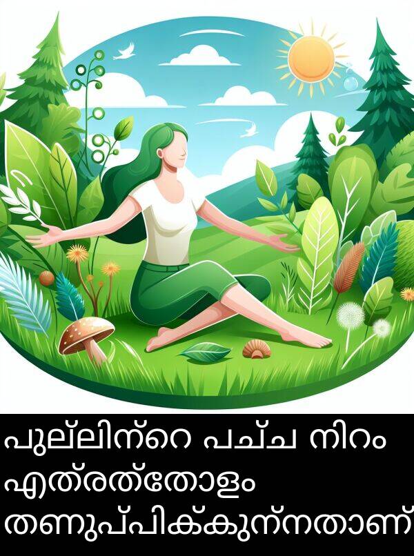 പച്ച: പുല്ലിന്റെ പച്ച നിറം എത്രത്തോളം തണുപ്പിക്കുന്നതാണ്!