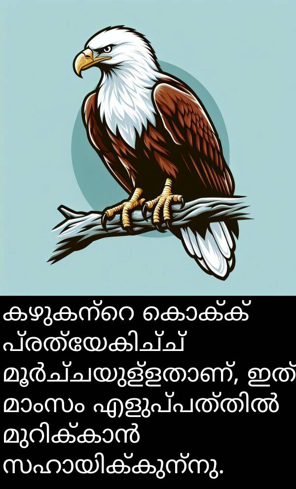 കൊക്ക്: കഴുകന്റെ കൊക്ക് പ്രത്യേകിച്ച് മൂർച്ചയുള്ളതാണ്, ഇത് മാംസം എളുപ്പത്തിൽ മുറിക്കാൻ സഹായിക്കുന്നു.