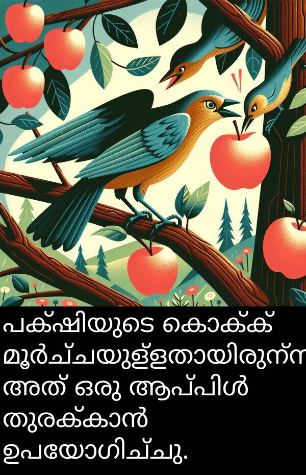 കൊക്ക്: പക്ഷിയുടെ കൊക്ക് മൂർച്ചയുള്ളതായിരുന്നു; അത് ഒരു ആപ്പിൾ തുരക്കാൻ ഉപയോഗിച്ചു.