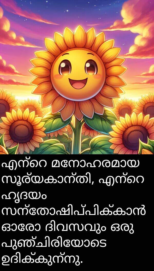 ഹൃദയം: എന്റെ മനോഹരമായ സൂര്യകാന്തി, എന്റെ ഹൃദയം സന്തോഷിപ്പിക്കാൻ ഓരോ ദിവസവും ഒരു പുഞ്ചിരിയോടെ ഉദിക്കുന്നു.
