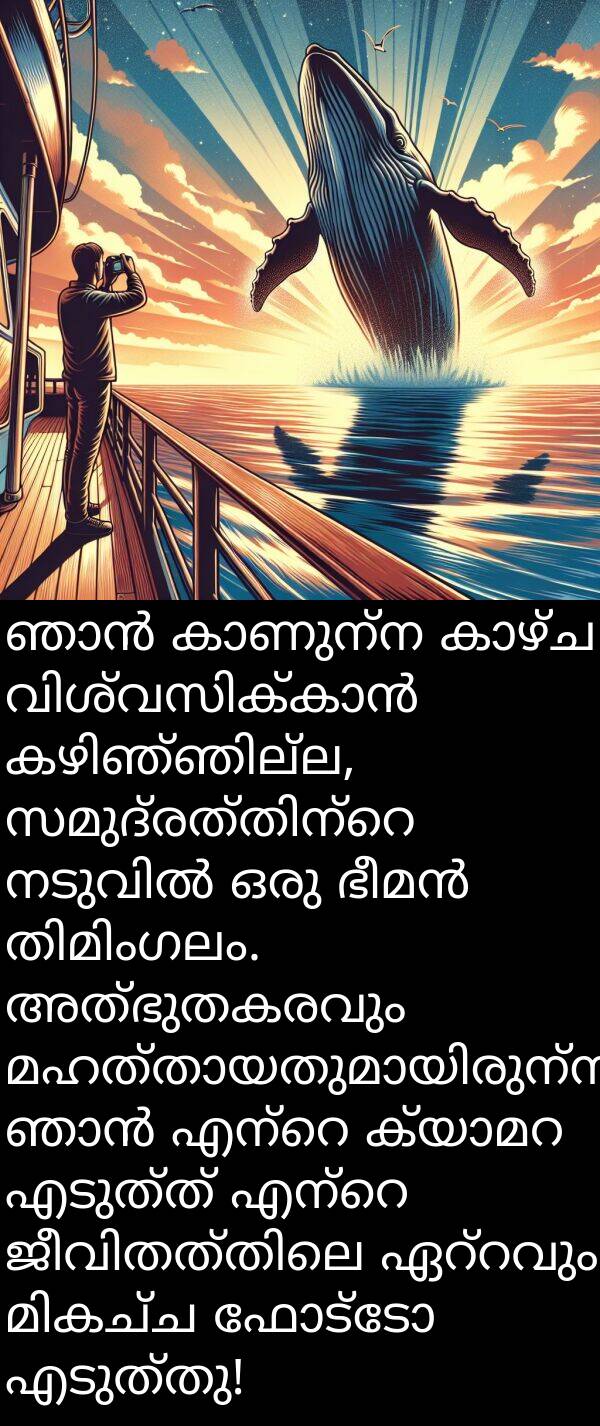 ഫോട്ടോ: ഞാൻ കാണുന്ന കാഴ്ച വിശ്വസിക്കാൻ കഴിഞ്ഞില്ല, സമുദ്രത്തിന്റെ നടുവിൽ ഒരു ഭീമൻ തിമിംഗലം. അത്ഭുതകരവും മഹത്തായതുമായിരുന്നു. ഞാൻ എന്റെ ക്യാമറ എടുത്ത് എന്റെ ജീവിതത്തിലെ ഏറ്റവും മികച്ച ഫോട്ടോ എടുത്തു!