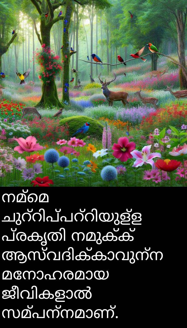 നമ്മെ: നമ്മെ ചുറ്റിപ്പറ്റിയുള്ള പ്രകൃതി നമുക്ക് ആസ്വദിക്കാവുന്ന മനോഹരമായ ജീവികളാൽ സമ്പന്നമാണ്.