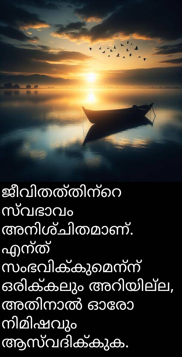 എന്ത്: ജീവിതത്തിന്റെ സ്വഭാവം അനിശ്ചിതമാണ്. എന്ത് സംഭവിക്കുമെന്ന് ഒരിക്കലും അറിയില്ല, അതിനാൽ ഓരോ നിമിഷവും ആസ്വദിക്കുക.