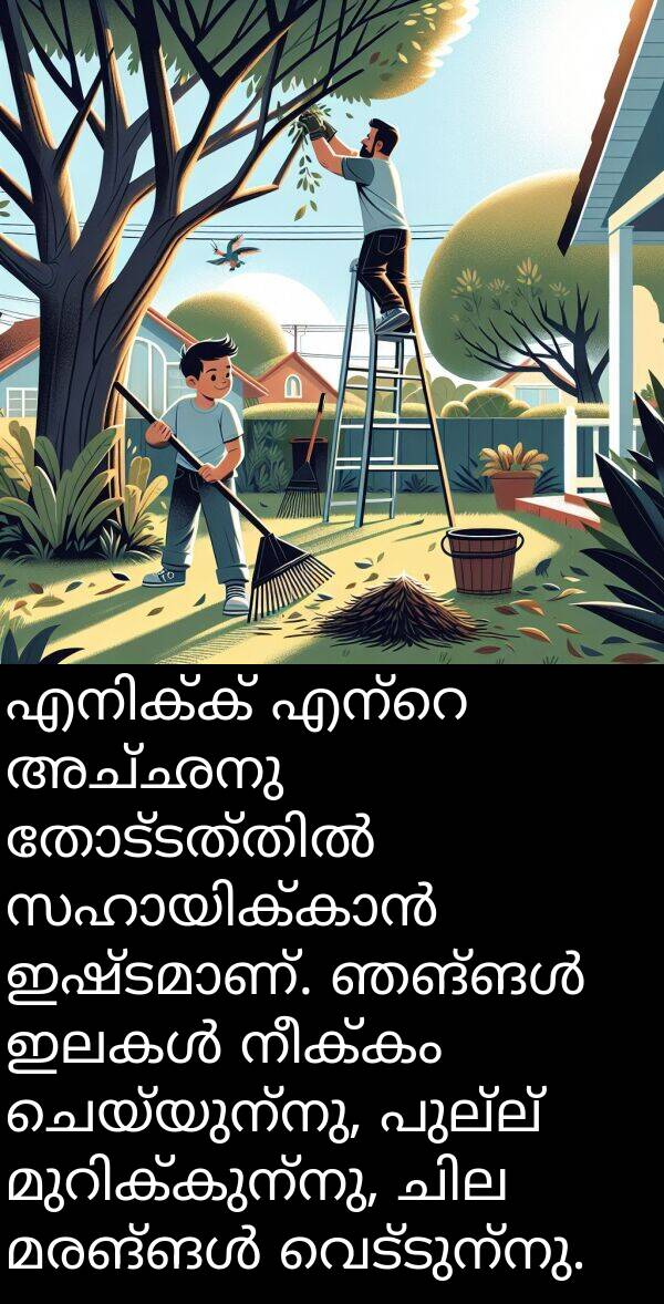 നീക്കം: എനിക്ക് എന്റെ അച്ഛനു തോട്ടത്തിൽ സഹായിക്കാൻ ഇഷ്ടമാണ്. ഞങ്ങൾ ഇലകൾ നീക്കം ചെയ്യുന്നു, പുല്ല് മുറിക്കുന്നു, ചില മരങ്ങൾ വെട്ടുന്നു.