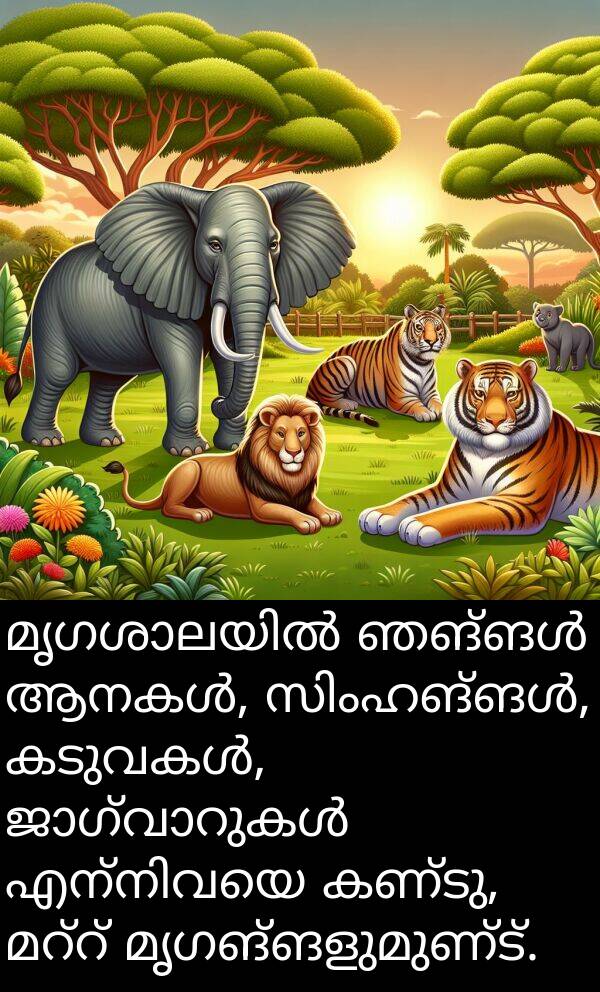 മൃഗങ്ങളുമുണ്ട്: മൃഗശാലയിൽ ഞങ്ങൾ ആനകൾ, സിംഹങ്ങൾ, കടുവകൾ, ജാഗ്വാറുകൾ എന്നിവയെ കണ്ടു, മറ്റ് മൃഗങ്ങളുമുണ്ട്.