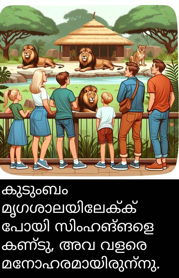 കണ്ടു: കുടുംബം മൃഗശാലയിലേക്ക് പോയി സിംഹങ്ങളെ കണ്ടു, അവ വളരെ മനോഹരമായിരുന്നു.