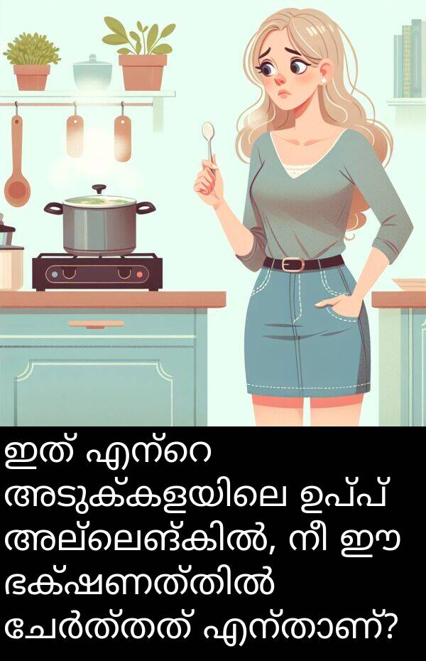 ഉപ്പ്: ഇത് എന്റെ അടുക്കളയിലെ ഉപ്പ് അല്ലെങ്കിൽ, നീ ഈ ഭക്ഷണത്തിൽ ചേർത്തത് എന്താണ്?