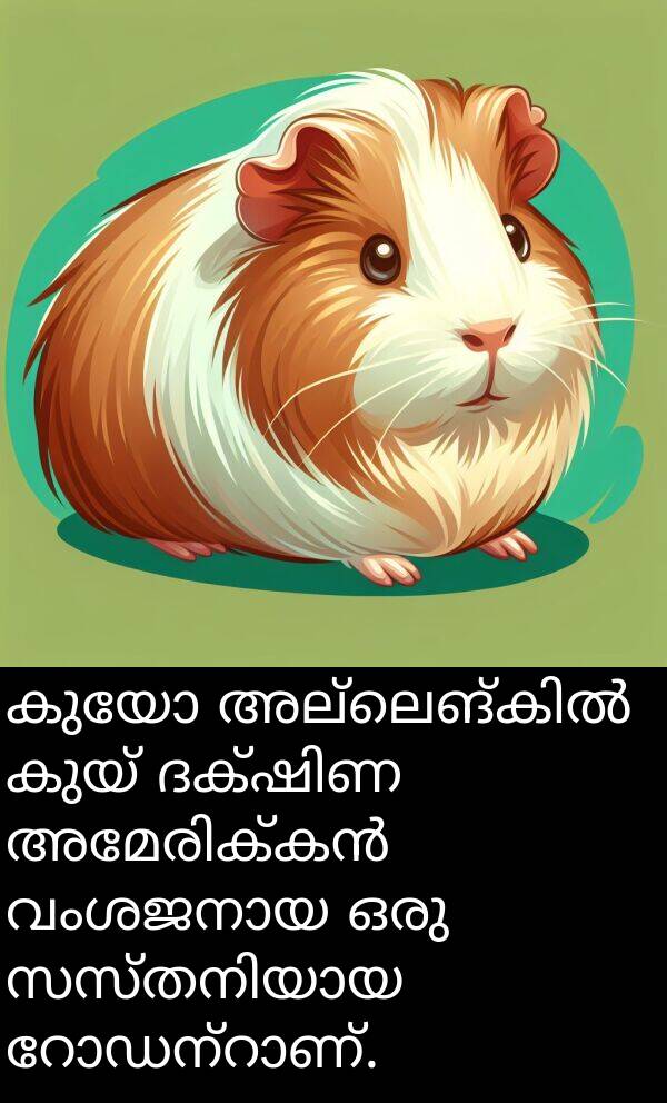 കുയ്: കുയോ അല്ലെങ്കിൽ കുയ് ദക്ഷിണ അമേരിക്കൻ വംശജനായ ഒരു സസ്തനിയായ റോഡന്റാണ്.