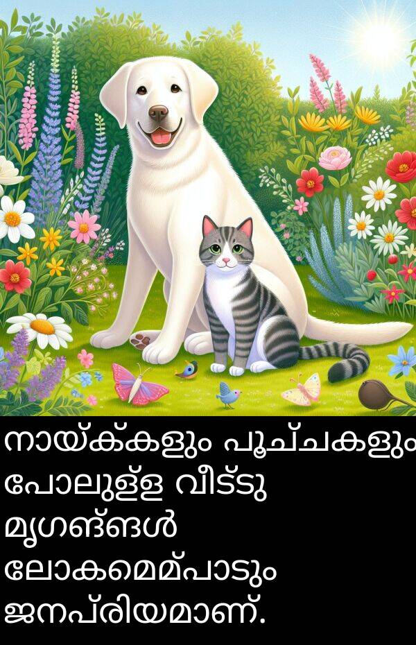 പൂച്ചകളും: നായ്ക്കളും പൂച്ചകളും പോലുള്ള വീട്ടു മൃഗങ്ങൾ ലോകമെമ്പാടും ജനപ്രിയമാണ്.