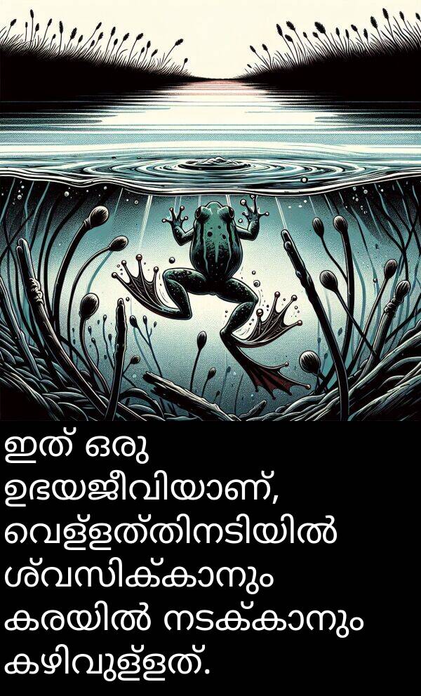 ഇത്: ഇത് ഒരു ഉഭയജീവിയാണ്, വെള്ളത്തിനടിയിൽ ശ്വസിക്കാനും കരയിൽ നടക്കാനും കഴിവുള്ളത്.