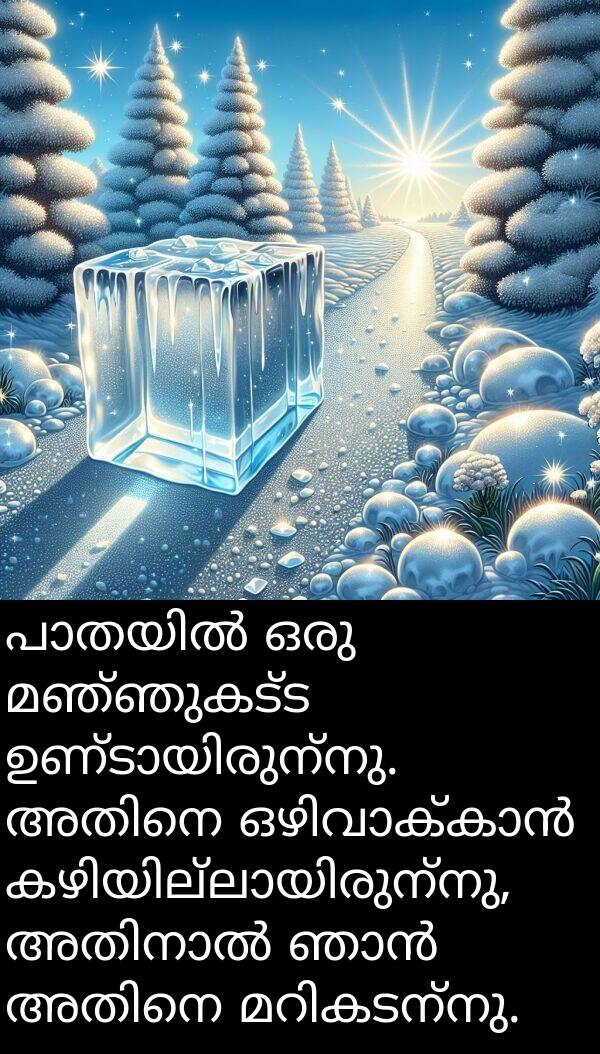 മഞ്ഞുകട്ട: പാതയിൽ ഒരു മഞ്ഞുകട്ട ഉണ്ടായിരുന്നു. അതിനെ ഒഴിവാക്കാൻ കഴിയില്ലായിരുന്നു, അതിനാൽ ഞാൻ അതിനെ മറികടന്നു.