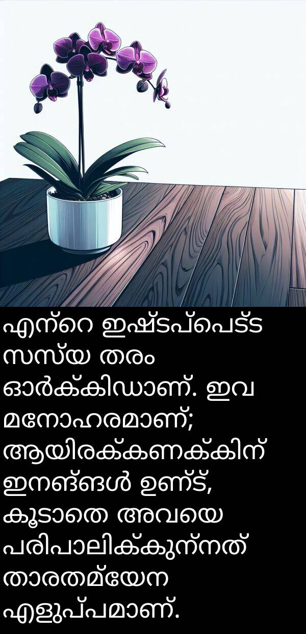 ഇഷ്ടപ്പെട്ട: എന്റെ ഇഷ്ടപ്പെട്ട സസ്യ തരം ഓർക്കിഡാണ്. ഇവ മനോഹരമാണ്; ആയിരക്കണക്കിന് ഇനങ്ങൾ ഉണ്ട്, കൂടാതെ അവയെ പരിപാലിക്കുന്നത് താരതമ്യേന എളുപ്പമാണ്.