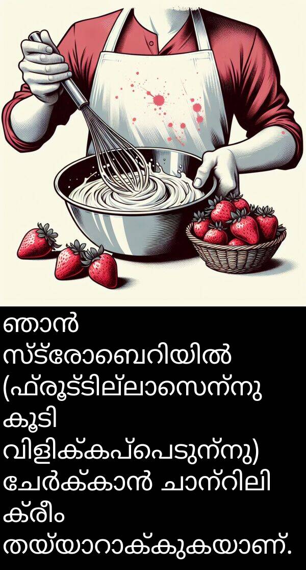 ക്രീം: ഞാൻ സ്ട്രോബെറിയിൽ (ഫ്രൂട്ടില്ലാസെന്നു കൂടി വിളിക്കപ്പെടുന്നു) ചേർക്കാൻ ചാന്റിലി ക്രീം തയ്യാറാക്കുകയാണ്.
