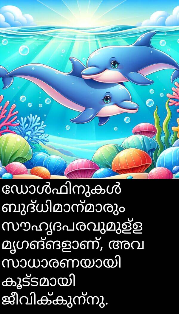 സൗഹൃദപരവുമുള്ള: ഡോൾഫിനുകൾ ബുദ്ധിമാന്മാരും സൗഹൃദപരവുമുള്ള മൃഗങ്ങളാണ്, അവ സാധാരണയായി കൂട്ടമായി ജീവിക്കുന്നു.