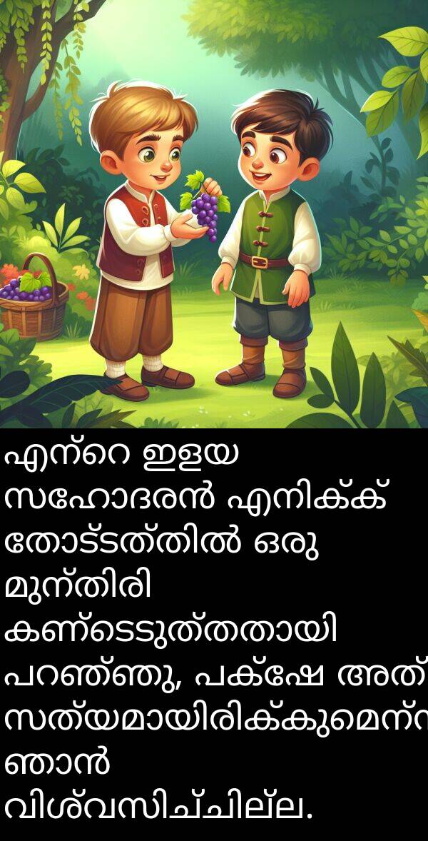 ഇളയ: എന്റെ ഇളയ സഹോദരൻ എനിക്ക് തോട്ടത്തിൽ ഒരു മുന്തിരി കണ്ടെടുത്തതായി പറഞ്ഞു, പക്ഷേ അത് സത്യമായിരിക്കുമെന്ന് ഞാൻ വിശ്വസിച്ചില്ല.