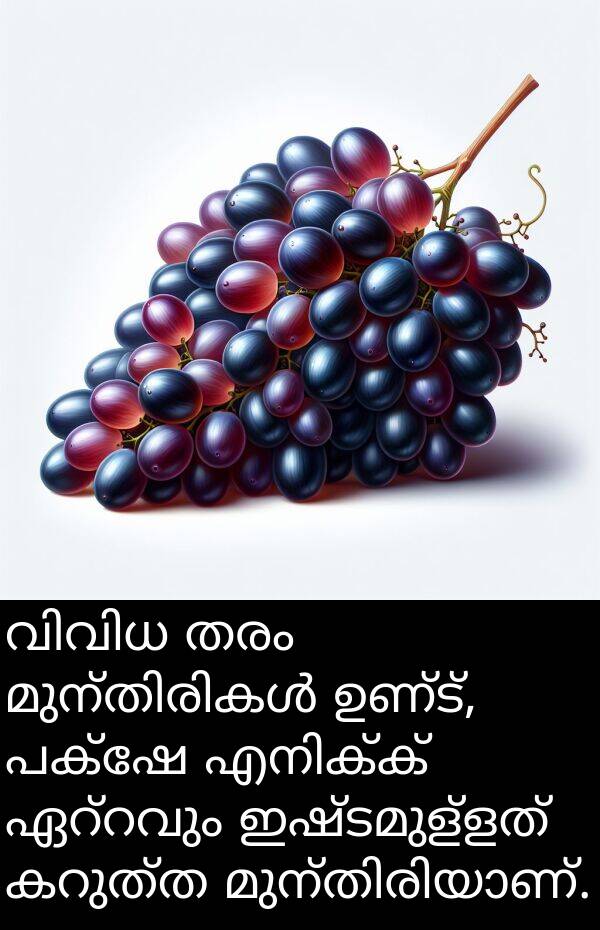 ഇഷ്ടമുള്ളത്: വിവിധ തരം മുന്തിരികൾ ഉണ്ട്, പക്ഷേ എനിക്ക് ഏറ്റവും ഇഷ്ടമുള്ളത് കറുത്ത മുന്തിരിയാണ്.