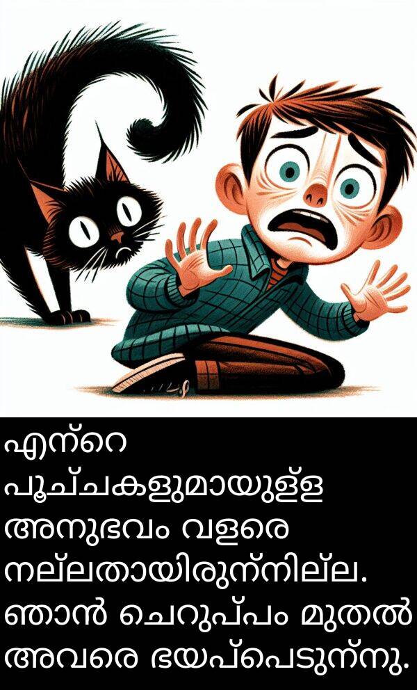 അനുഭവം: എന്റെ പൂച്ചകളുമായുള്ള അനുഭവം വളരെ നല്ലതായിരുന്നില്ല. ഞാൻ ചെറുപ്പം മുതൽ അവരെ ഭയപ്പെടുന്നു.