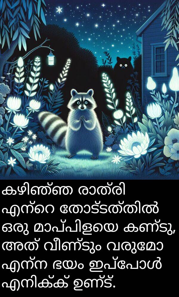 വരുമോ: കഴിഞ്ഞ രാത്രി എന്റെ തോട്ടത്തിൽ ഒരു മാപ്പിളയെ കണ്ടു, അത് വീണ്ടും വരുമോ എന്ന ഭയം ഇപ്പോൾ എനിക്ക് ഉണ്ട്.