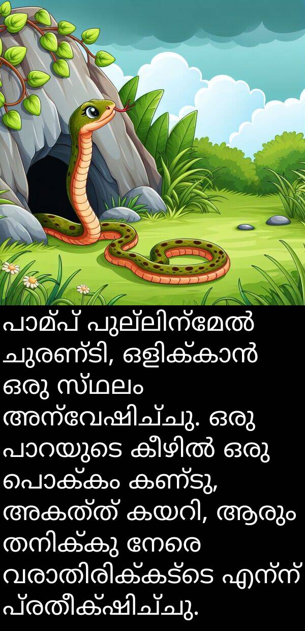 നേരെ: പാമ്പ് പുല്ലിന്മേൽ ചുരണ്ടി, ഒളിക്കാൻ ഒരു സ്ഥലം അന്വേഷിച്ചു. ഒരു പാറയുടെ കീഴിൽ ഒരു പൊക്കം കണ്ടു, അകത്ത് കയറി, ആരും തനിക്കു നേരെ വരാതിരിക്കട്ടെ എന്ന് പ്രതീക്ഷിച്ചു.