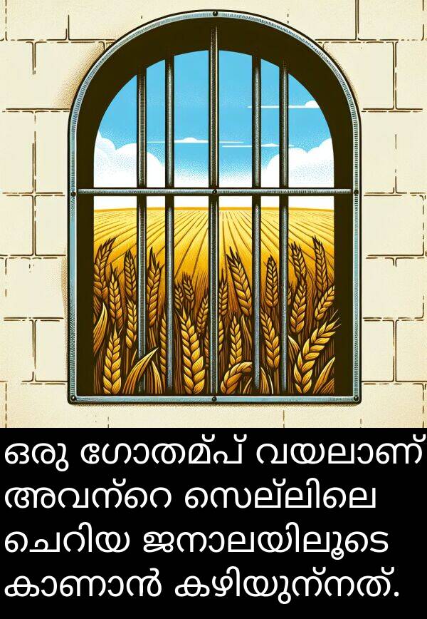ഗോതമ്പ്: ഒരു ഗോതമ്പ് വയലാണ് അവന്റെ സെല്ലിലെ ചെറിയ ജനാലയിലൂടെ കാണാൻ കഴിയുന്നത്.