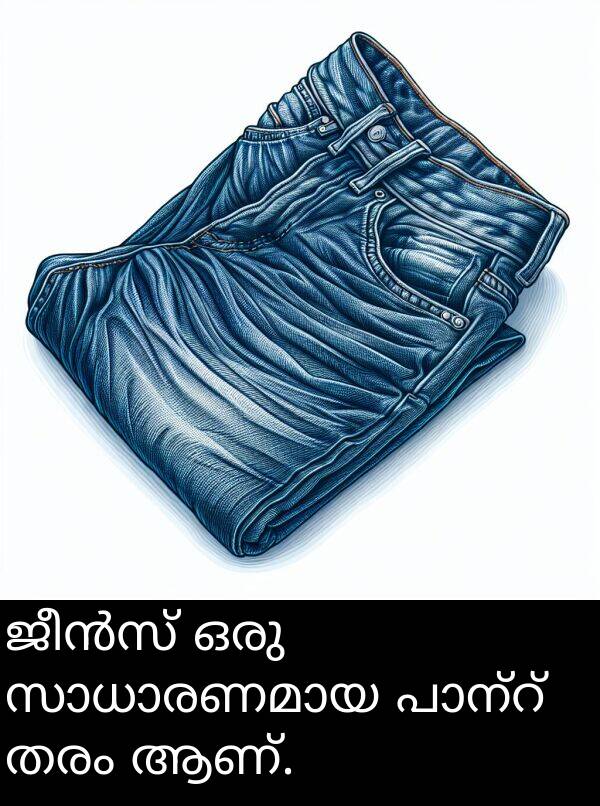 ഒരു: ജീൻസ് ഒരു സാധാരണമായ പാന്റ് തരം ആണ്.