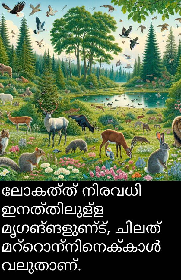 ലോകത്ത്: ലോകത്ത് നിരവധി ഇനത്തിലുള്ള മൃഗങ്ങളുണ്ട്, ചിലത് മറ്റൊന്നിനെക്കാൾ വലുതാണ്.