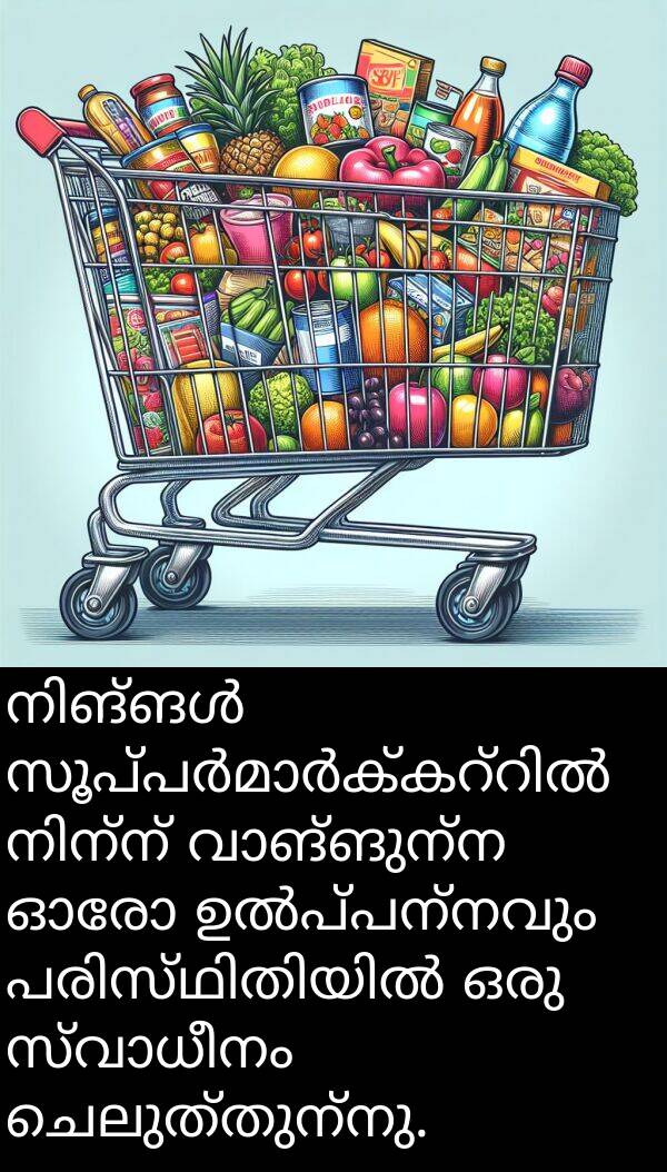 ചെലുത്തുന്നു: നിങ്ങൾ സൂപ്പർമാർക്കറ്റിൽ നിന്ന് വാങ്ങുന്ന ഓരോ ഉൽപ്പന്നവും പരിസ്ഥിതിയിൽ ഒരു സ്വാധീനം ചെലുത്തുന്നു.