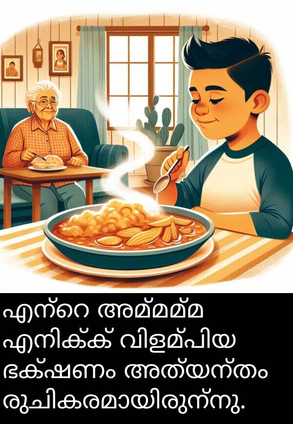 അമ്മമ്മ: എന്റെ അമ്മമ്മ എനിക്ക് വിളമ്പിയ ഭക്ഷണം അത്യന്തം രുചികരമായിരുന്നു.