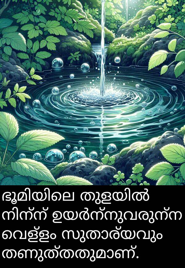 വെള്ളം: ഭൂമിയിലെ തുളയിൽ നിന്ന് ഉയർന്നുവരുന്ന വെള്ളം സുതാര്യവും തണുത്തതുമാണ്.