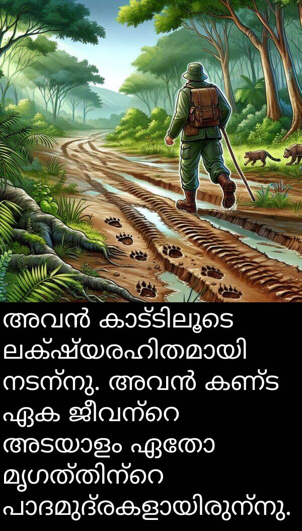 ഏതോ: അവൻ കാട്ടിലൂടെ ലക്ഷ്യരഹിതമായി നടന്നു. അവൻ കണ്ട ഏക ജീവന്റെ അടയാളം ഏതോ മൃഗത്തിന്റെ പാദമുദ്രകളായിരുന്നു.