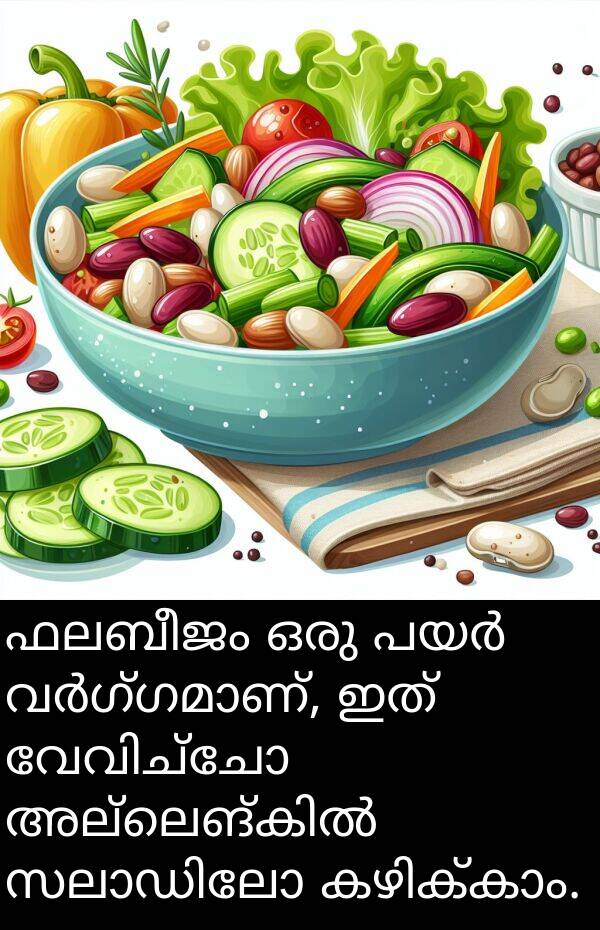 ഫലബീജം: ഫലബീജം ഒരു പയർ വർഗ്ഗമാണ്, ഇത് വേവിച്ചോ അല്ലെങ്കിൽ സലാഡിലോ കഴിക്കാം.