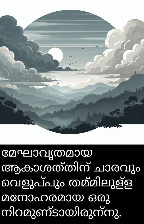 വെളുപ്പും: മേഘാവൃതമായ ആകാശത്തിന് ചാരവും വെളുപ്പും തമ്മിലുള്ള മനോഹരമായ ഒരു നിറമുണ്ടായിരുന്നു.