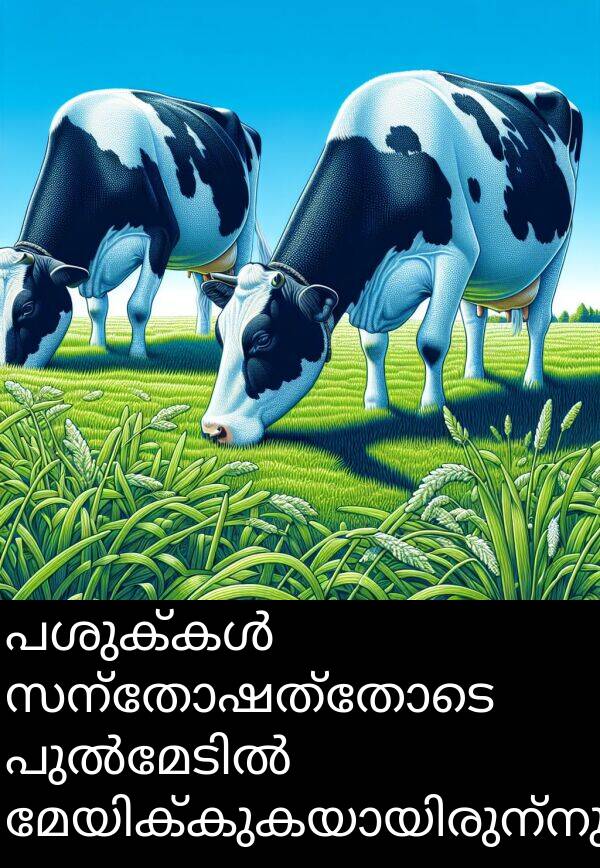 സന്തോഷത്തോടെ: പശുക്കൾ സന്തോഷത്തോടെ പുൽമേടിൽ മേയിക്കുകയായിരുന്നു.