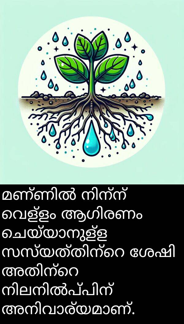 വെള്ളം: മണ്ണിൽ നിന്ന് വെള്ളം ആഗിരണം ചെയ്യാനുള്ള സസ്യത്തിന്റെ ശേഷി അതിന്റെ നിലനിൽപ്പിന് അനിവാര്യമാണ്.