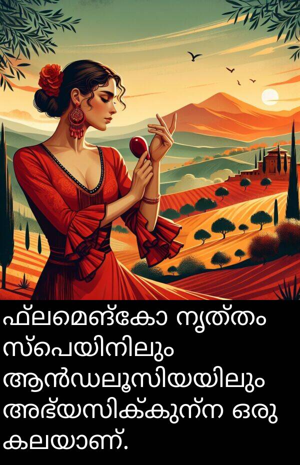 ഫ്ലമെങ്കോ: ഫ്ലമെങ്കോ നൃത്തം സ്പെയിനിലും ആൻഡലൂസിയയിലും അഭ്യസിക്കുന്ന ഒരു കലയാണ്.