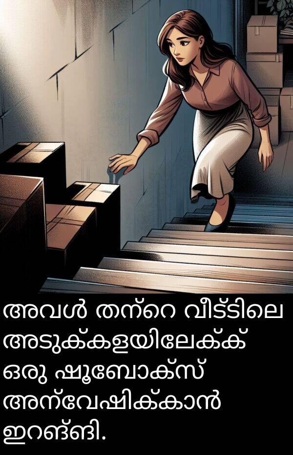 ഷൂബോക്സ്: അവൾ തന്റെ വീട്ടിലെ അടുക്കളയിലേക്ക് ഒരു ഷൂബോക്സ് അന്വേഷിക്കാൻ ഇറങ്ങി.
