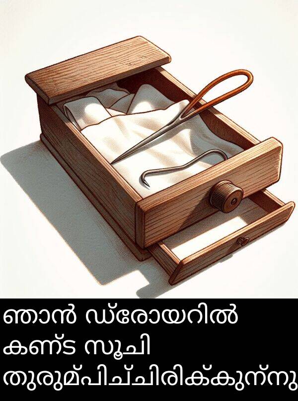 കണ്ട: ഞാൻ ഡ്രോയറിൽ കണ്ട സൂചി തുരുമ്പിച്ചിരിക്കുന്നു.