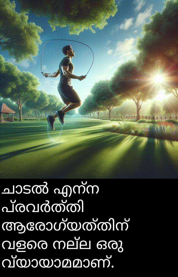 എന്ന: ചാടൽ എന്ന പ്രവർത്തി ആരോഗ്യത്തിന് വളരെ നല്ല ഒരു വ്യായാമമാണ്.