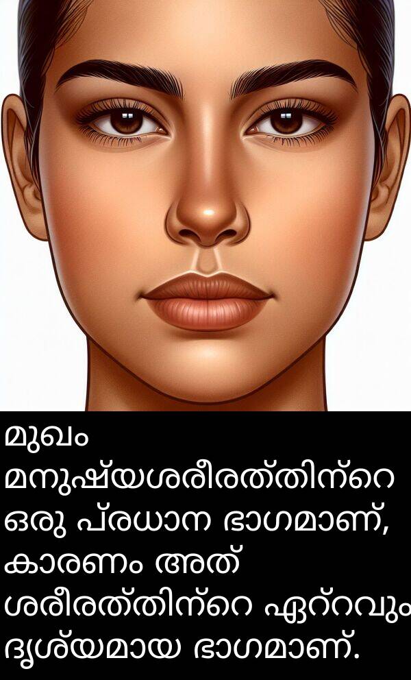 മുഖം: മുഖം മനുഷ്യശരീരത്തിന്റെ ഒരു പ്രധാന ഭാഗമാണ്, കാരണം അത് ശരീരത്തിന്റെ ഏറ്റവും ദൃശ്യമായ ഭാഗമാണ്.